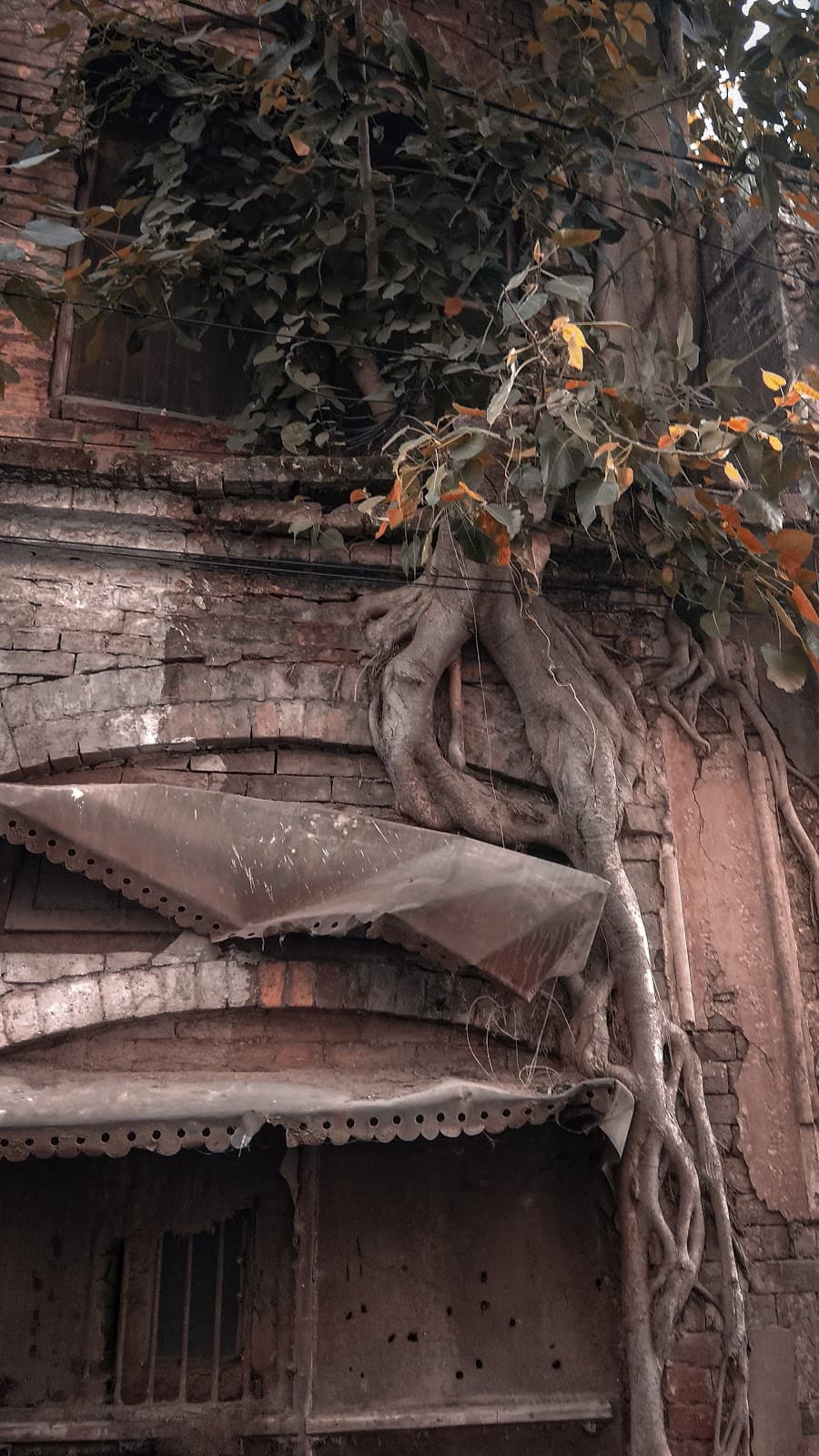 Kanak Mandi - Image 1