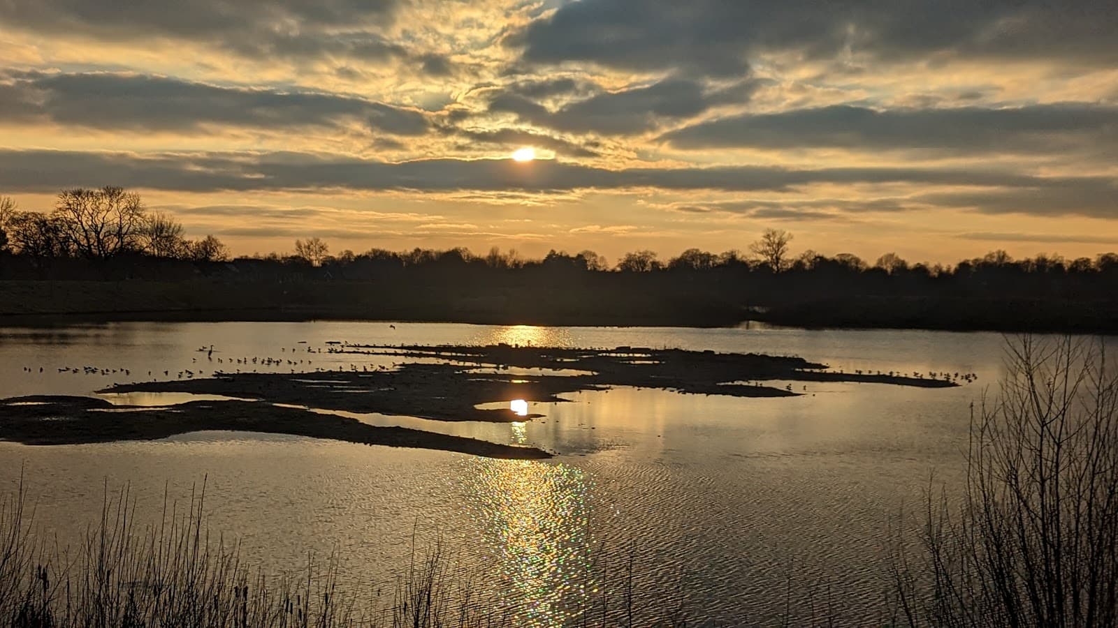 Grimsargh Wetlands - Image 1