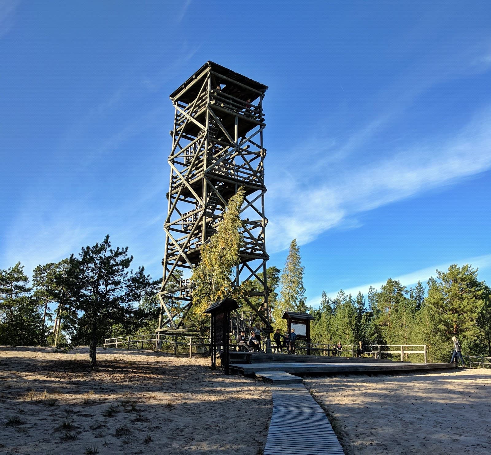 Tolkuse Bog & Observation Tower - Image 1