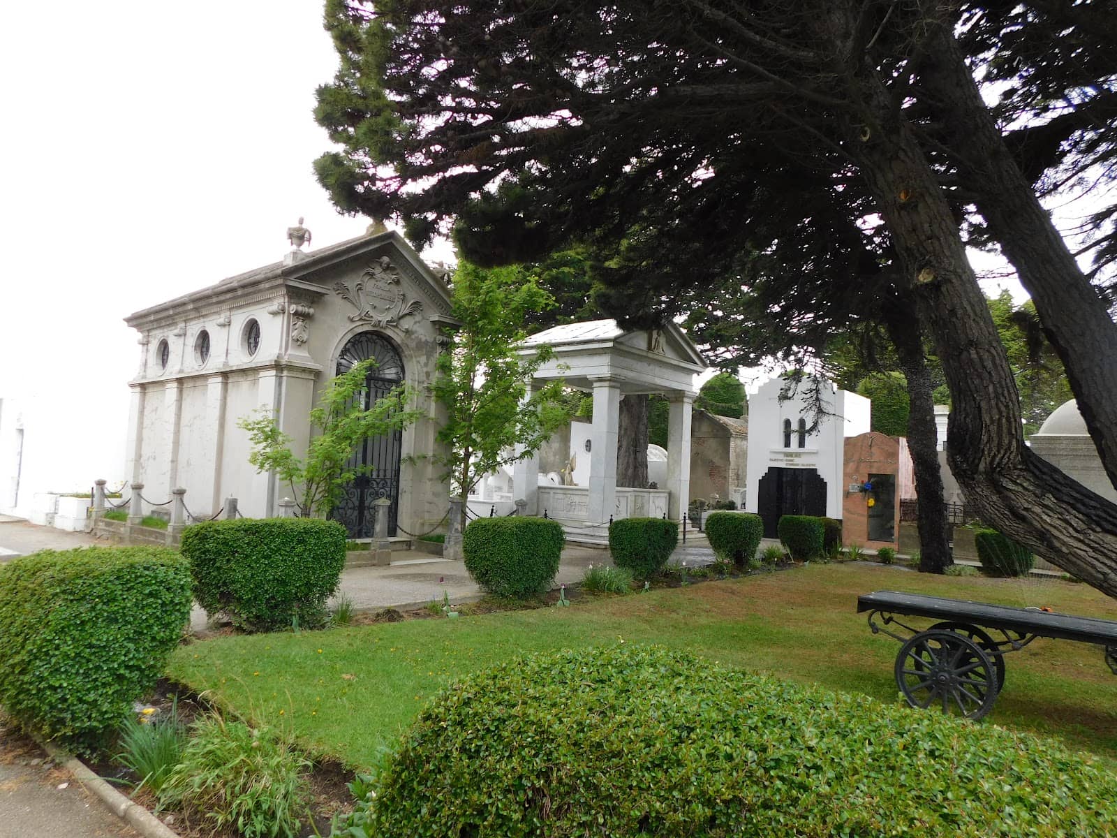 Lined Cypress Avenues