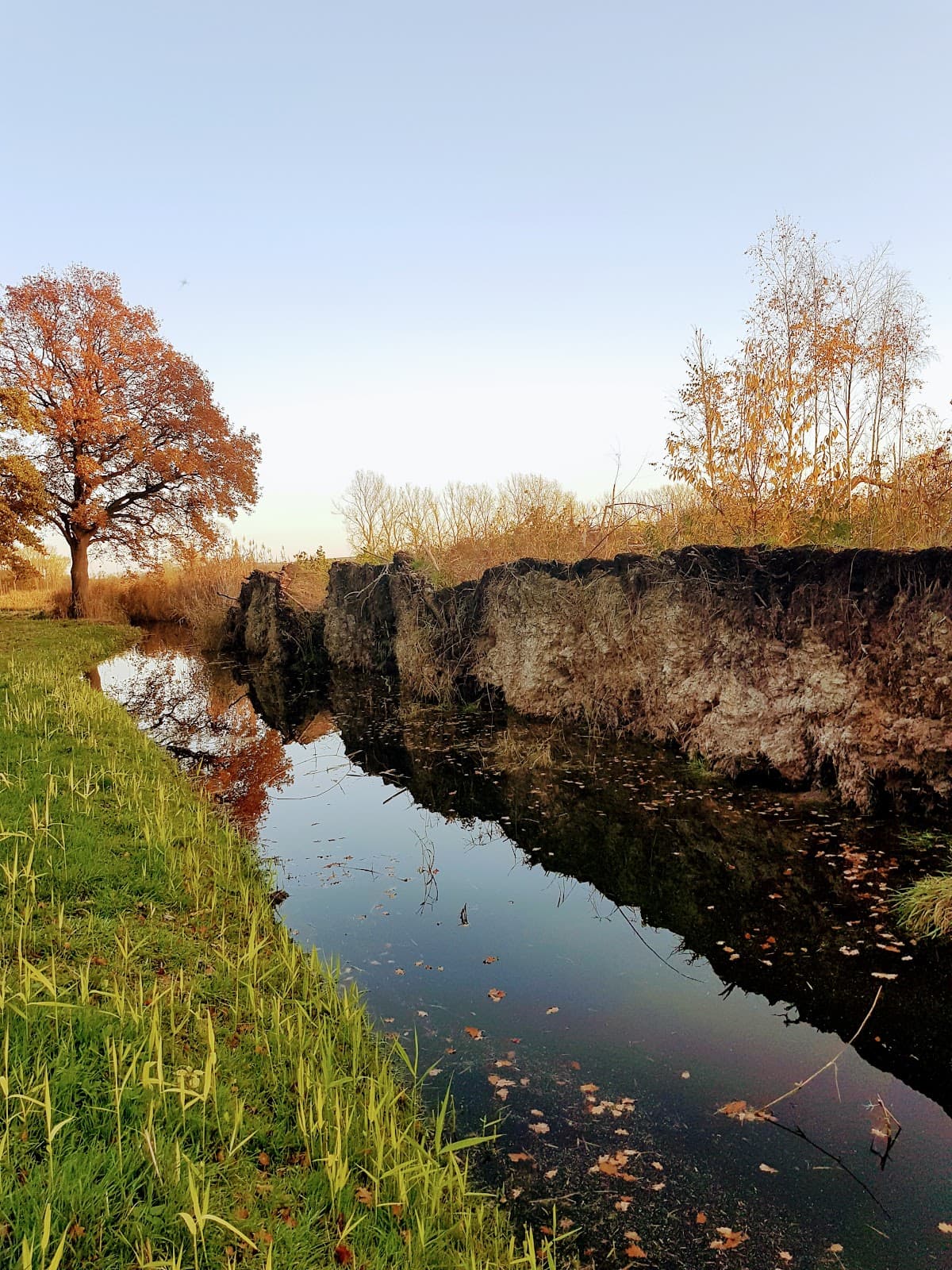 Barnbruch Nature Reserve - Image 1