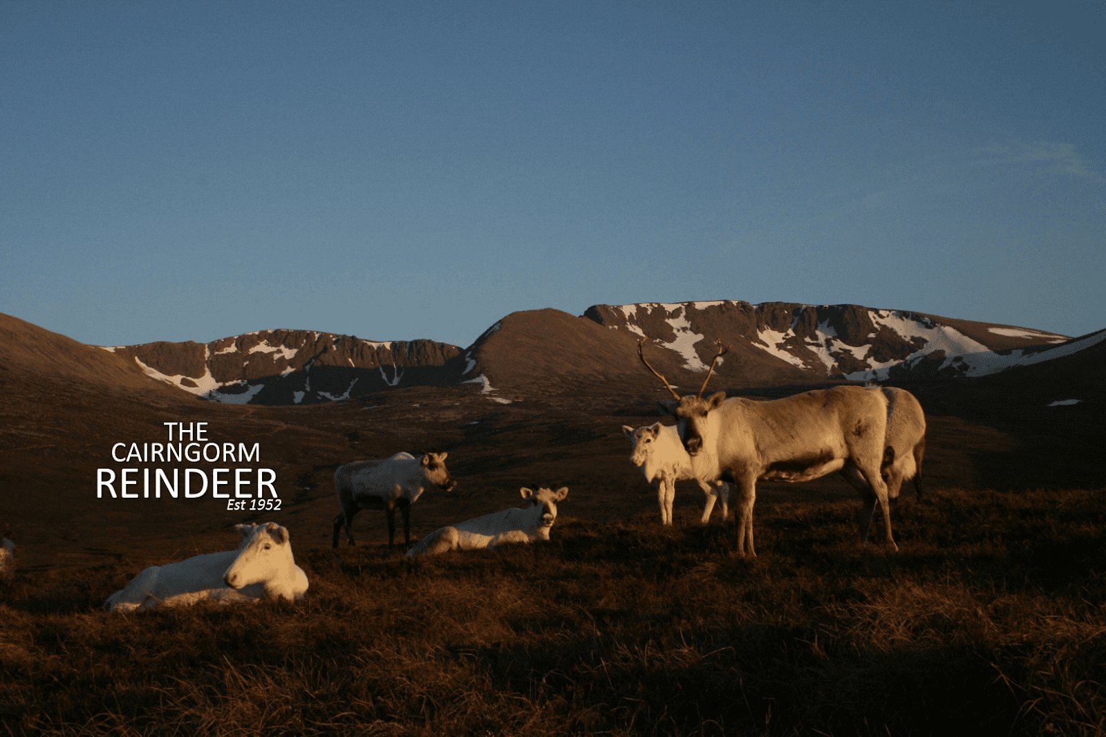 The Green Loch (An Lochan Uaine)