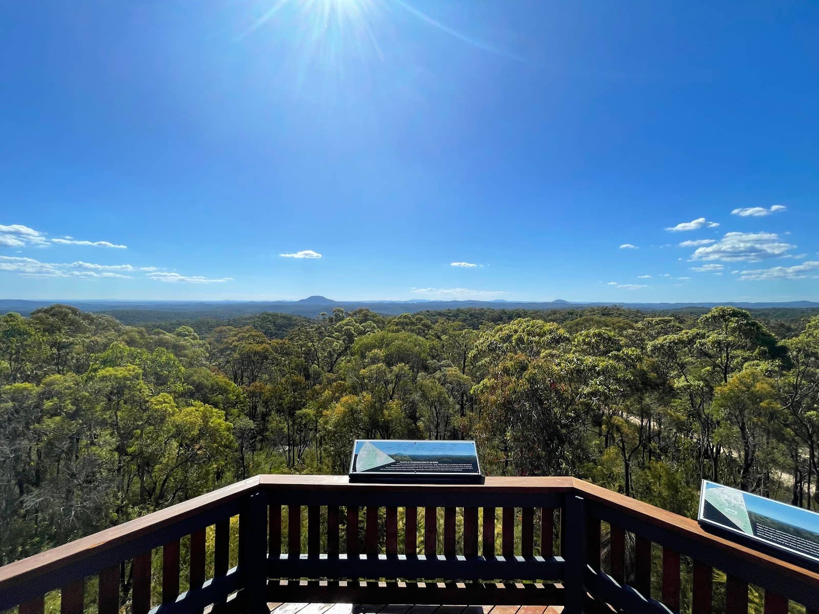 Secluded Campsite Serenity