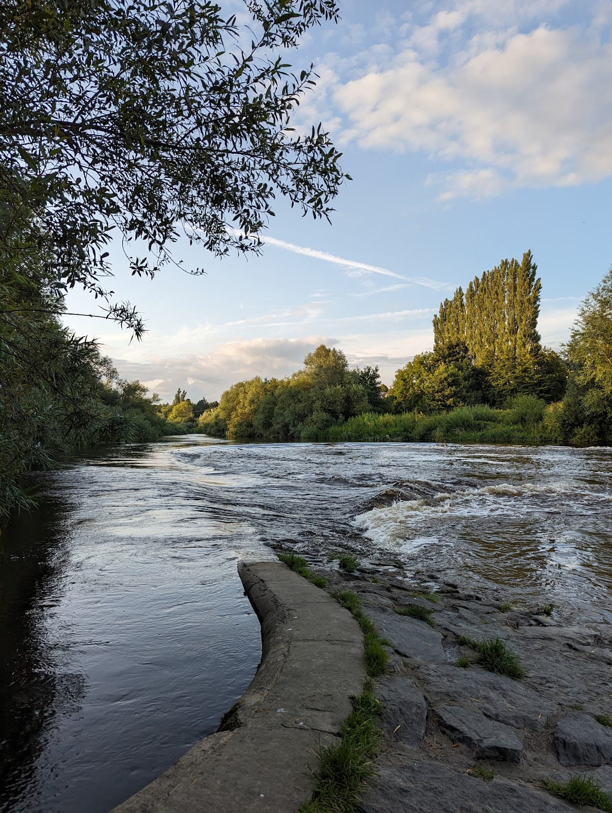 Nore Linear Park and Bishops Meadows - Image 1