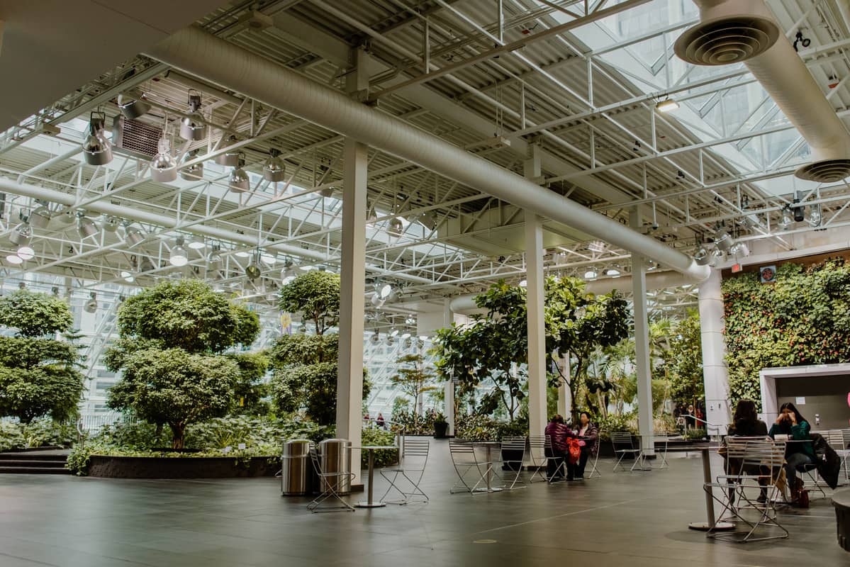 Tranquil Ponds & Fish