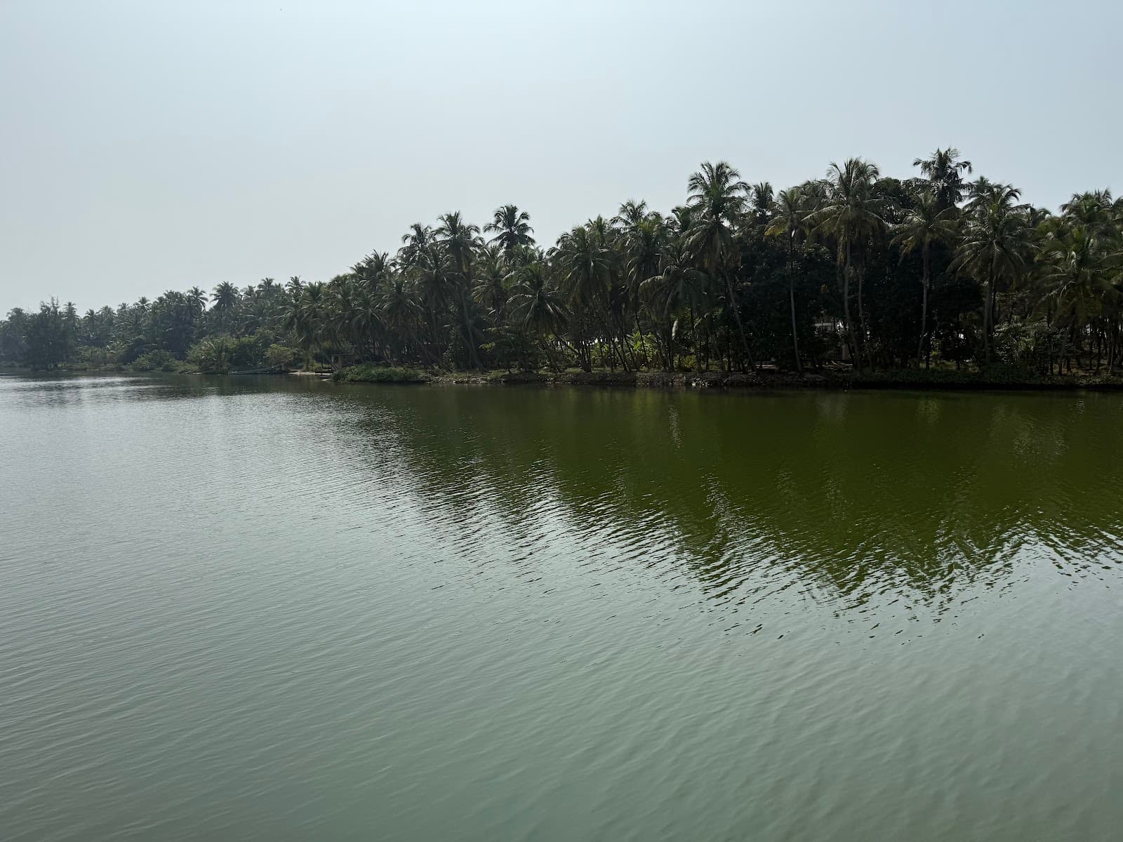 Valiyaparamba Backwaters - Image 1