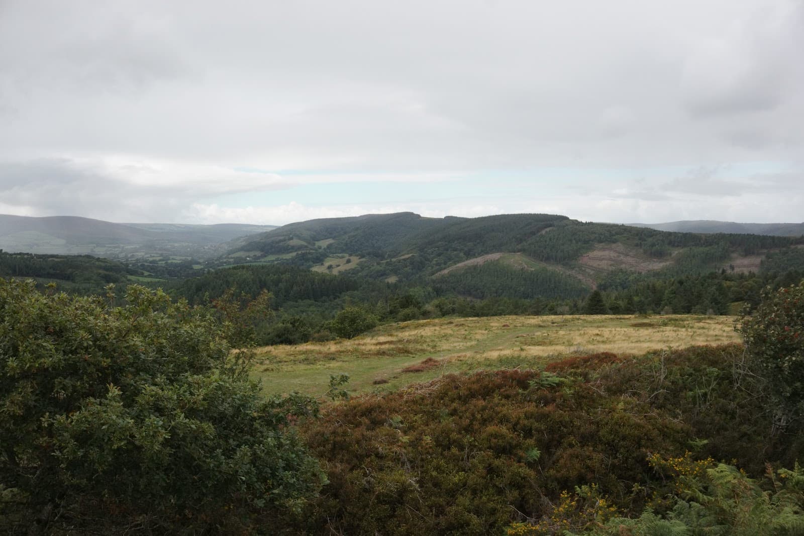 Bat's Castle - Image 1