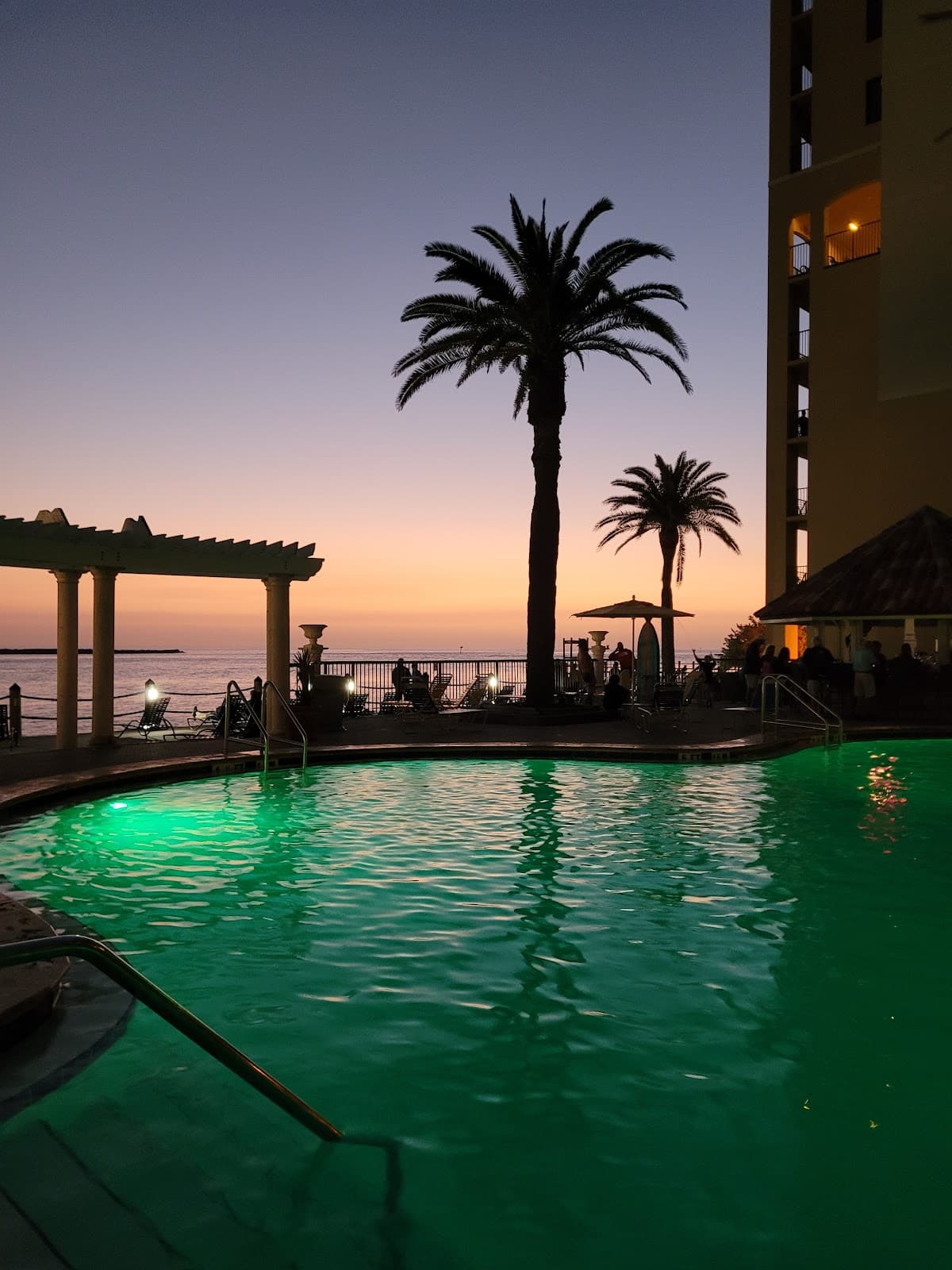 Downtown Dunedin - Image 1