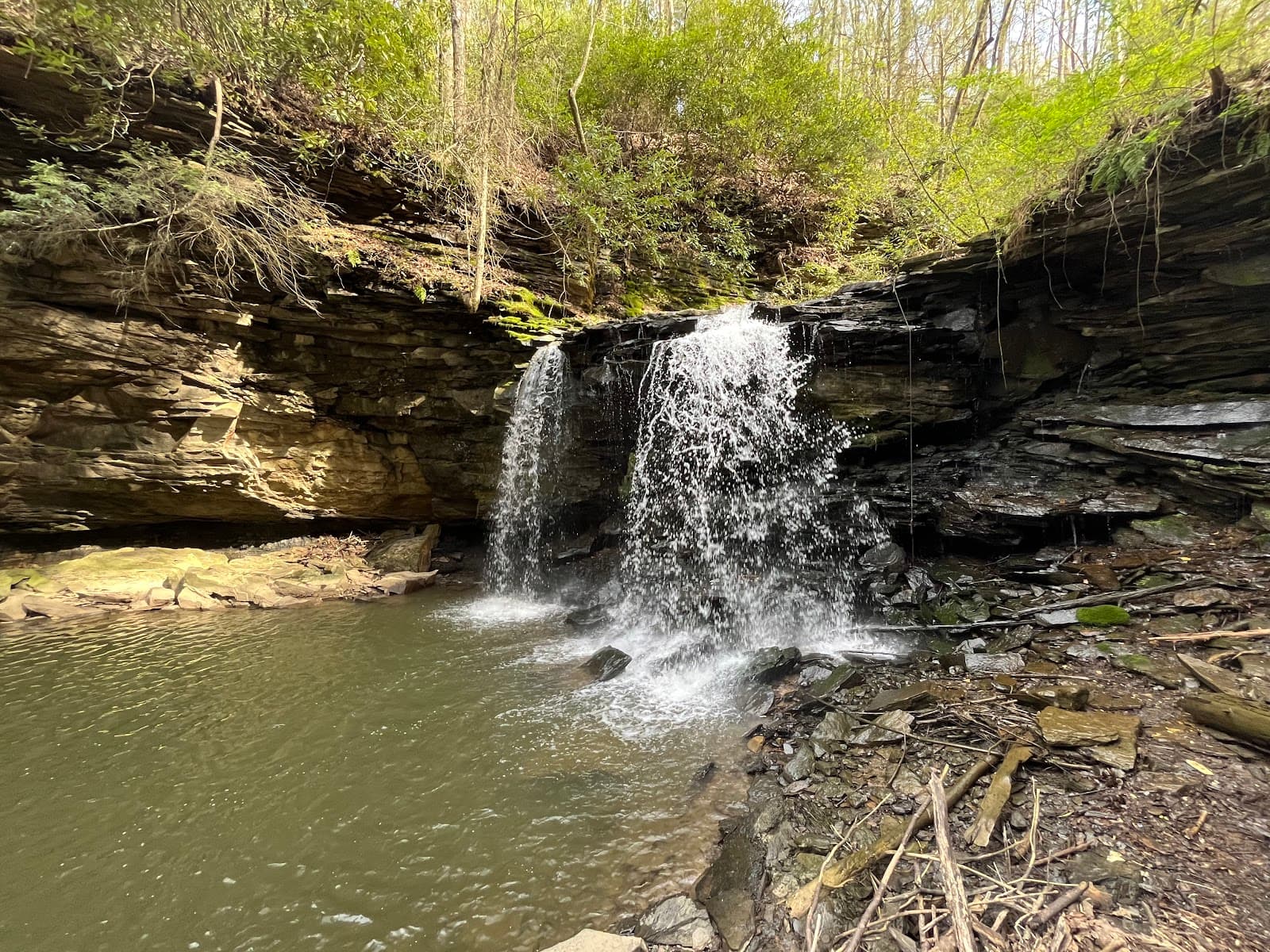 Piney Creek Gorge Trails - Image 1