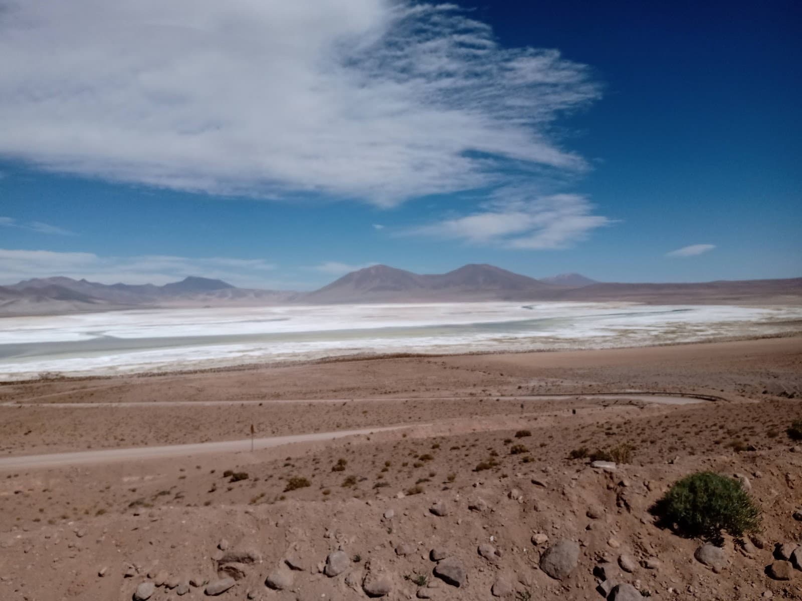 Salar de Huasco National Park - Image 1