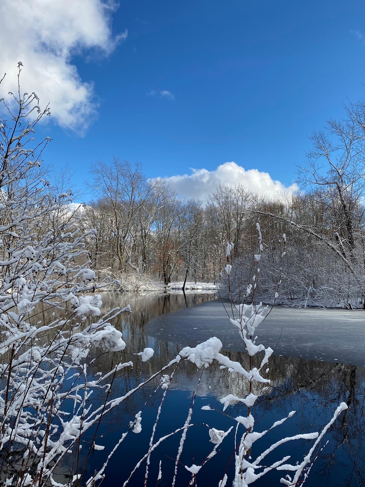Parker Meadow - Image 1
