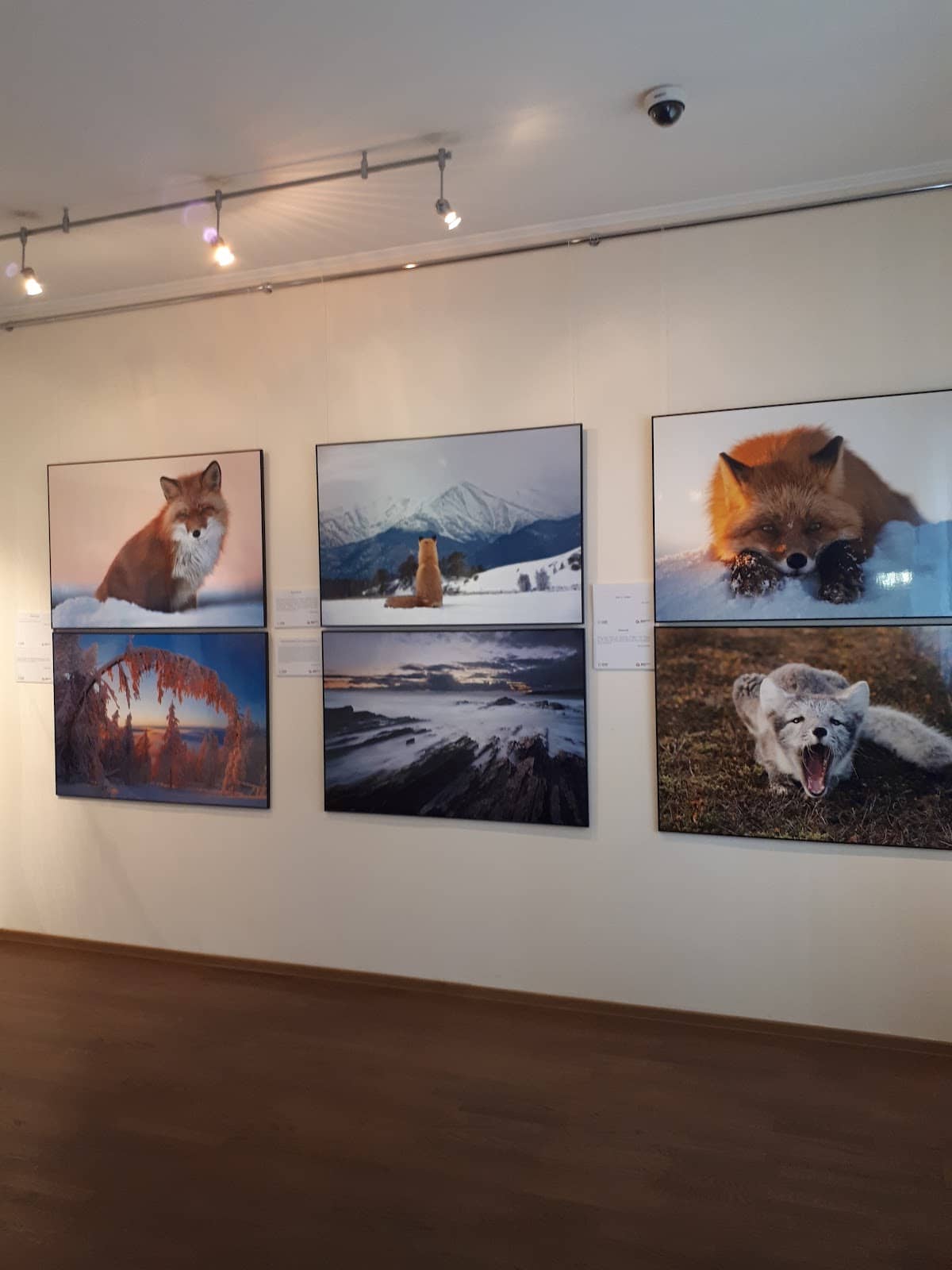 Art Unites Exhibition