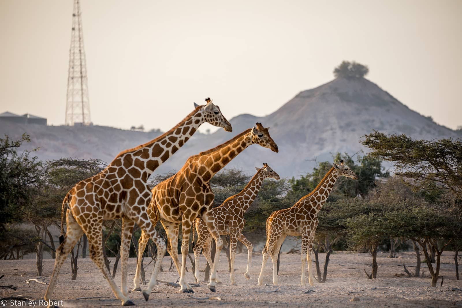 Historic Christian Church