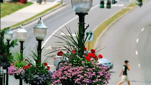 Downtown Blacksburg - Image 1