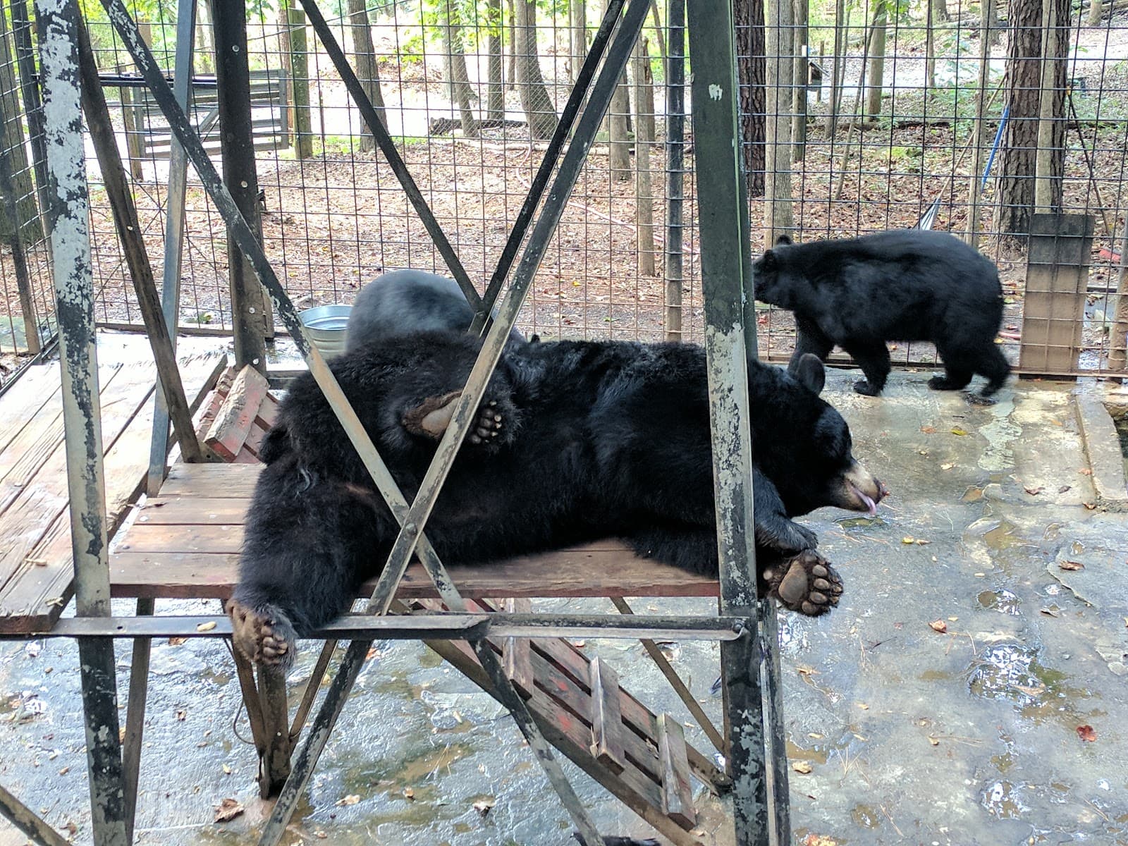 Yellow River Wildlife Sanctuary - Image 1