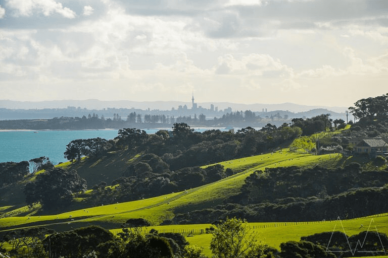 Gourmet Small Plates