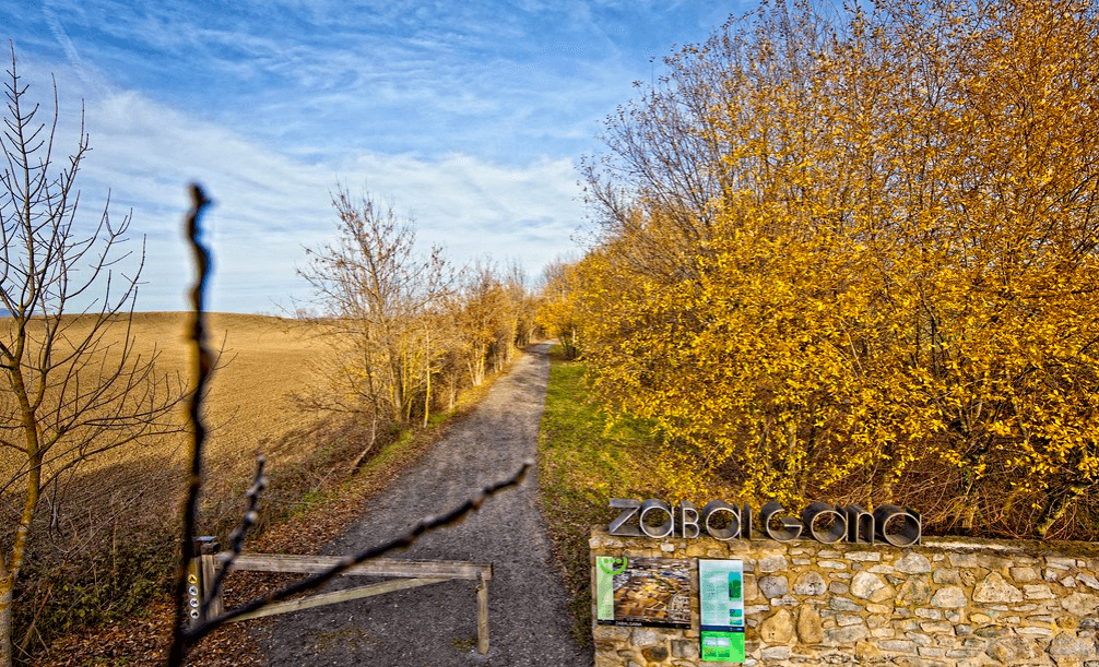 Extensive Trail Network