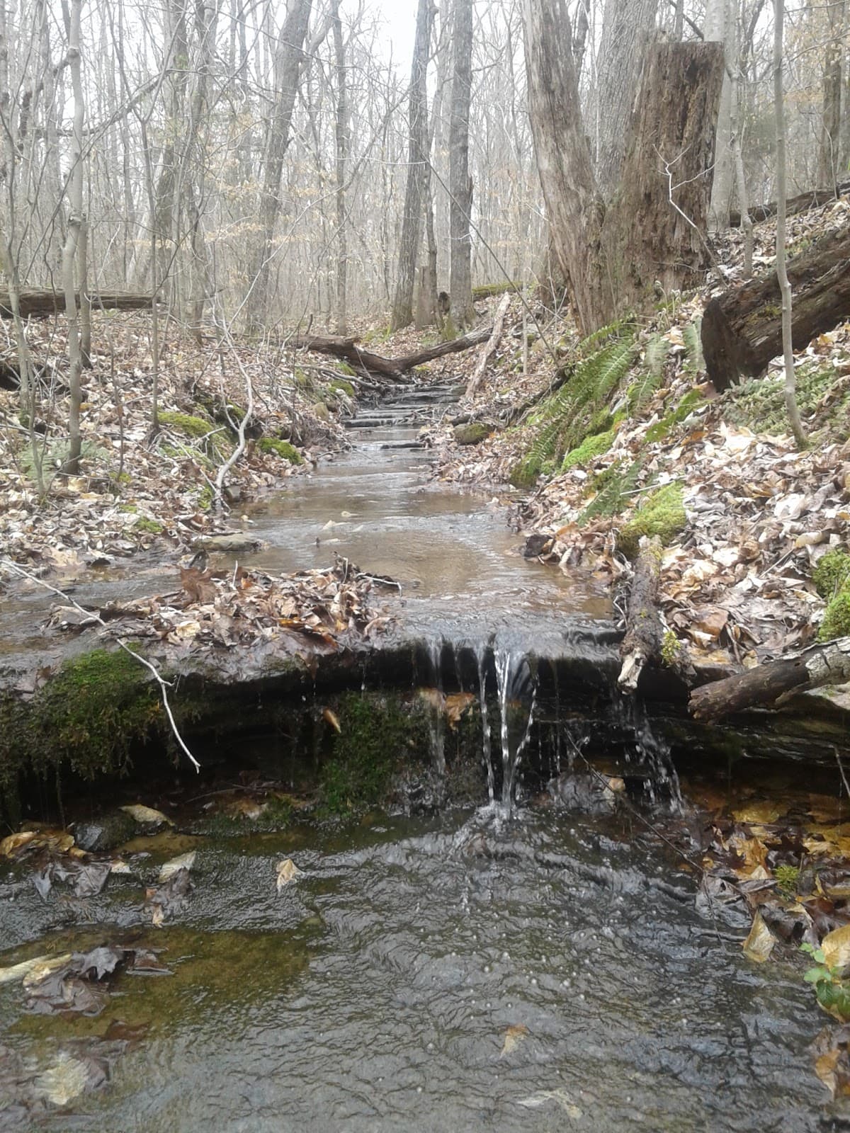 Big Hollow Trail - Image 1