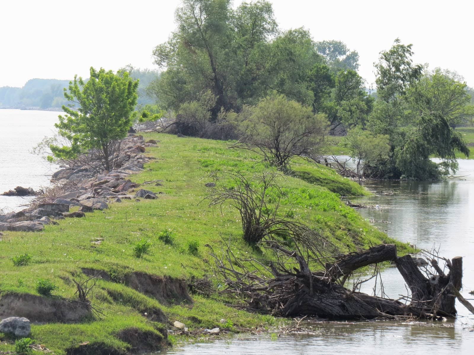 Birdwatching Paradise