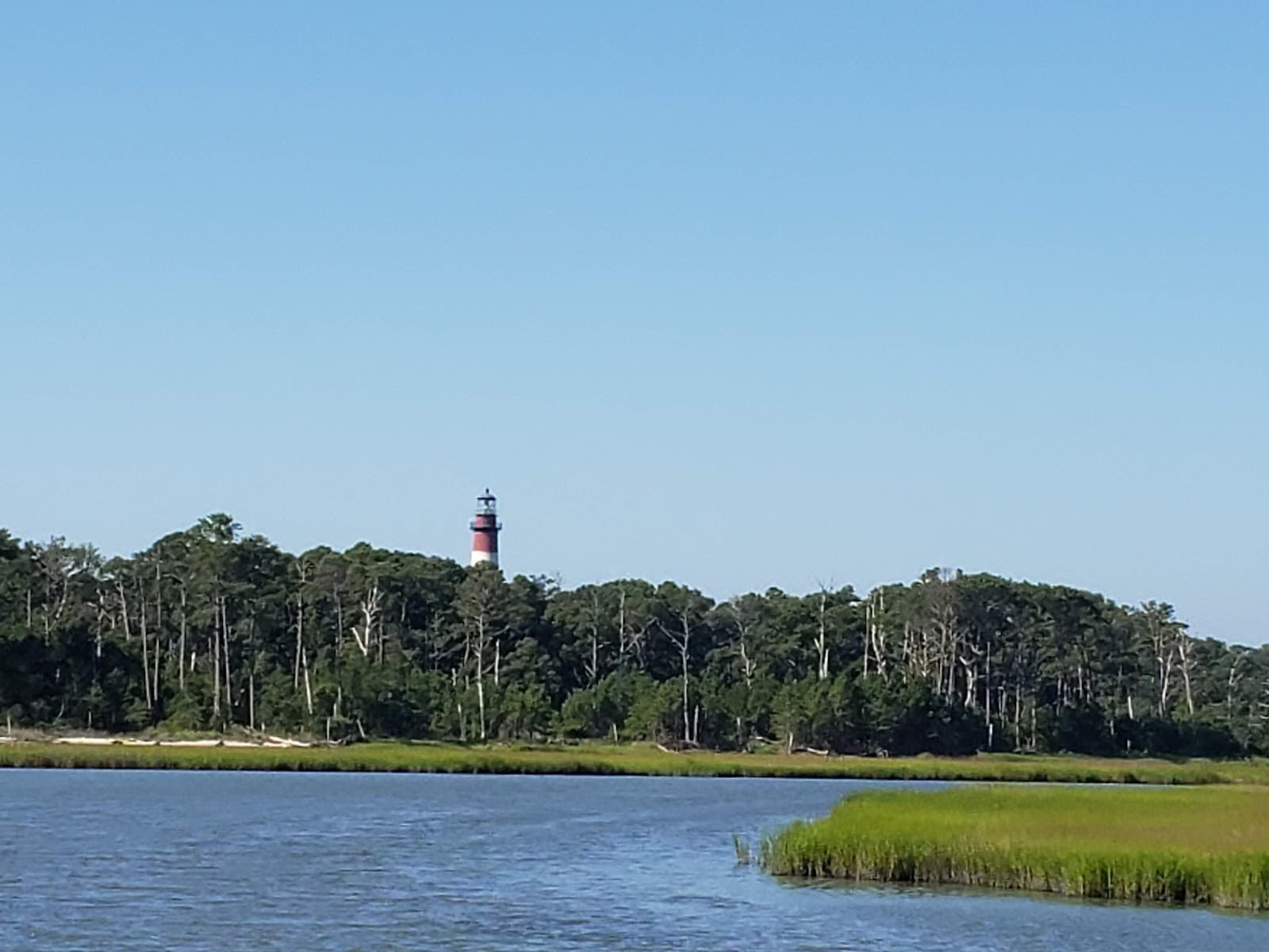 Chincoteague National Wildlife Refuge - Image 1