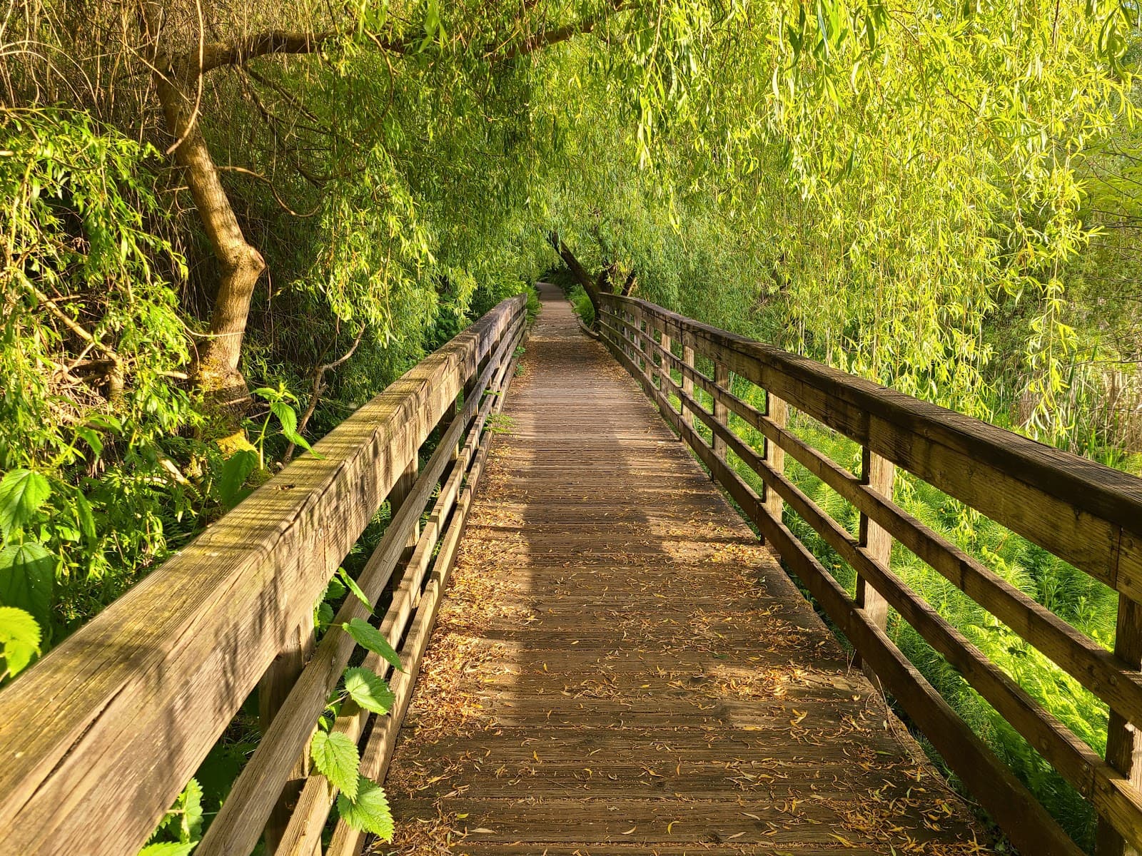 Juanita Bay Park - Image 1