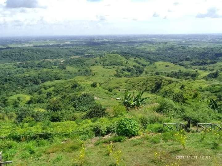Nabuclod View Deck - Image 1