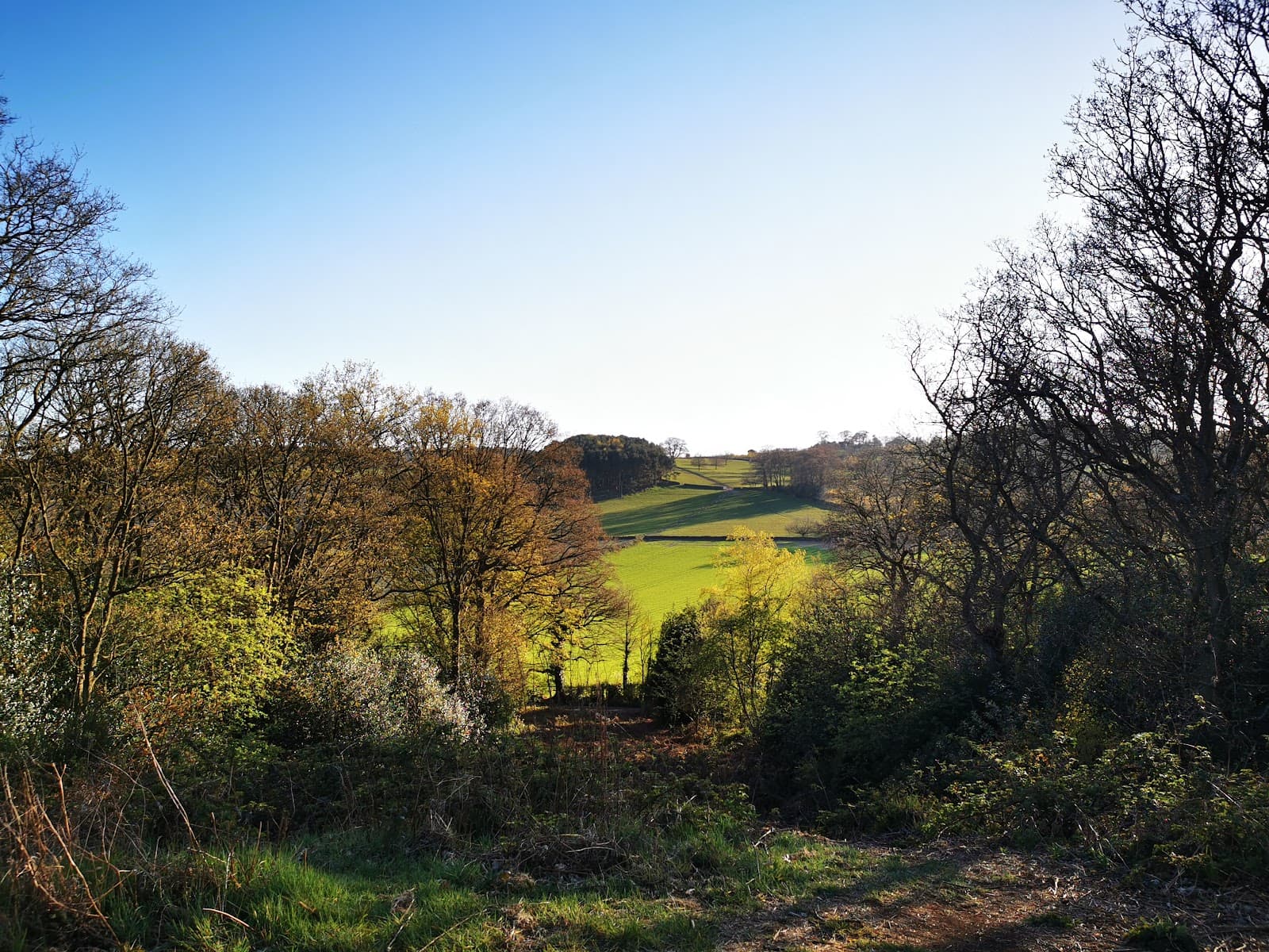 Broombriggs Farm Country Park - Image 1
