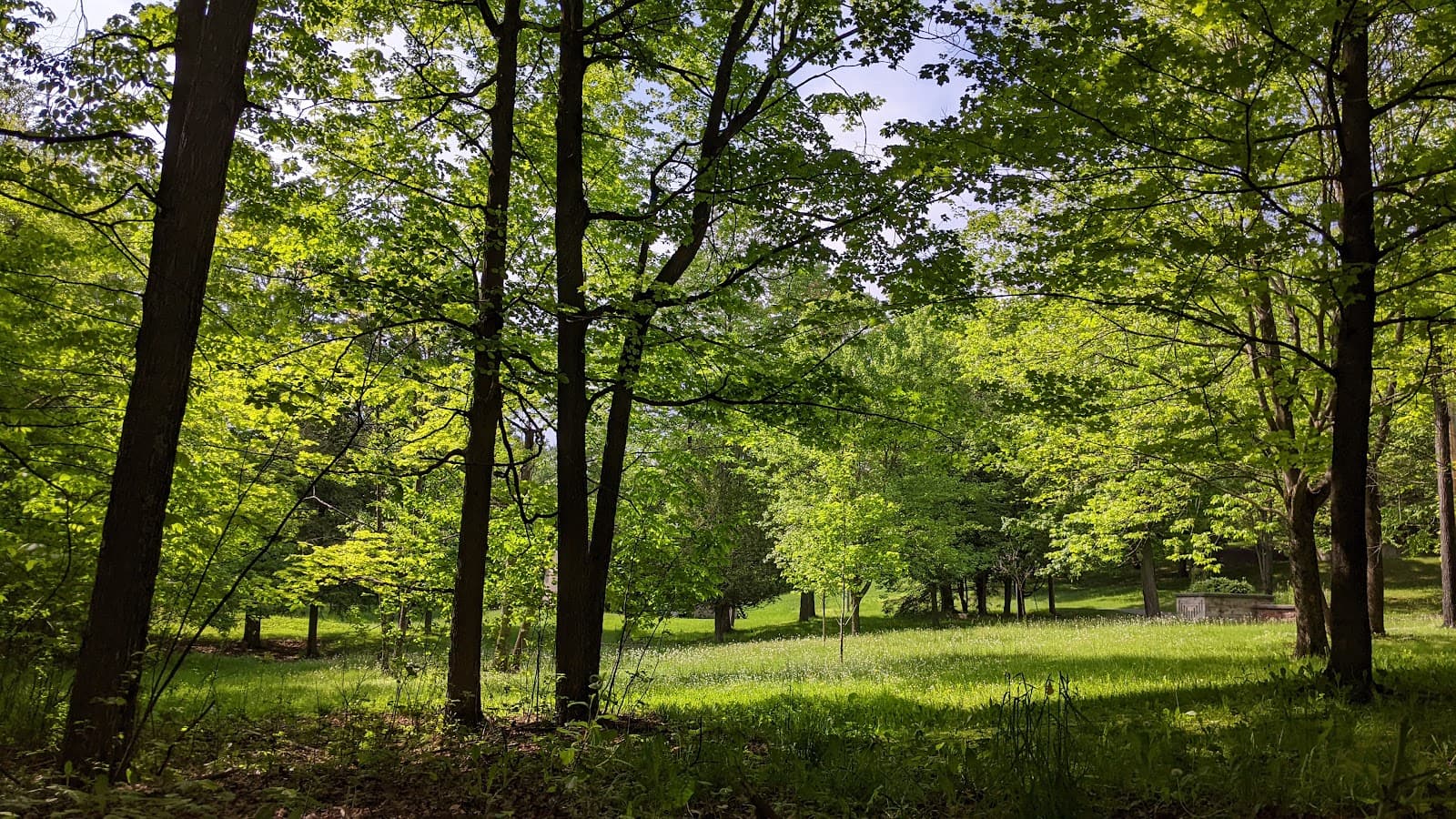 Victoria Park - Image 1