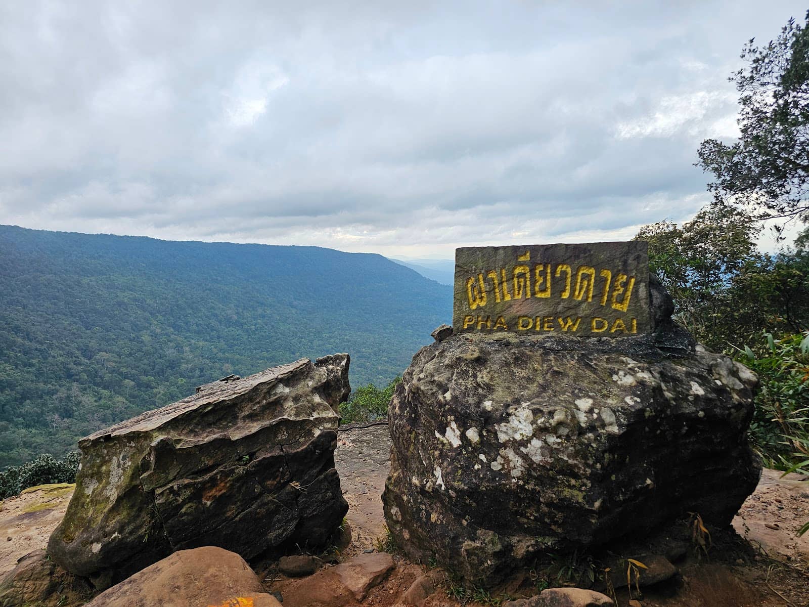 Highland Birdwatching