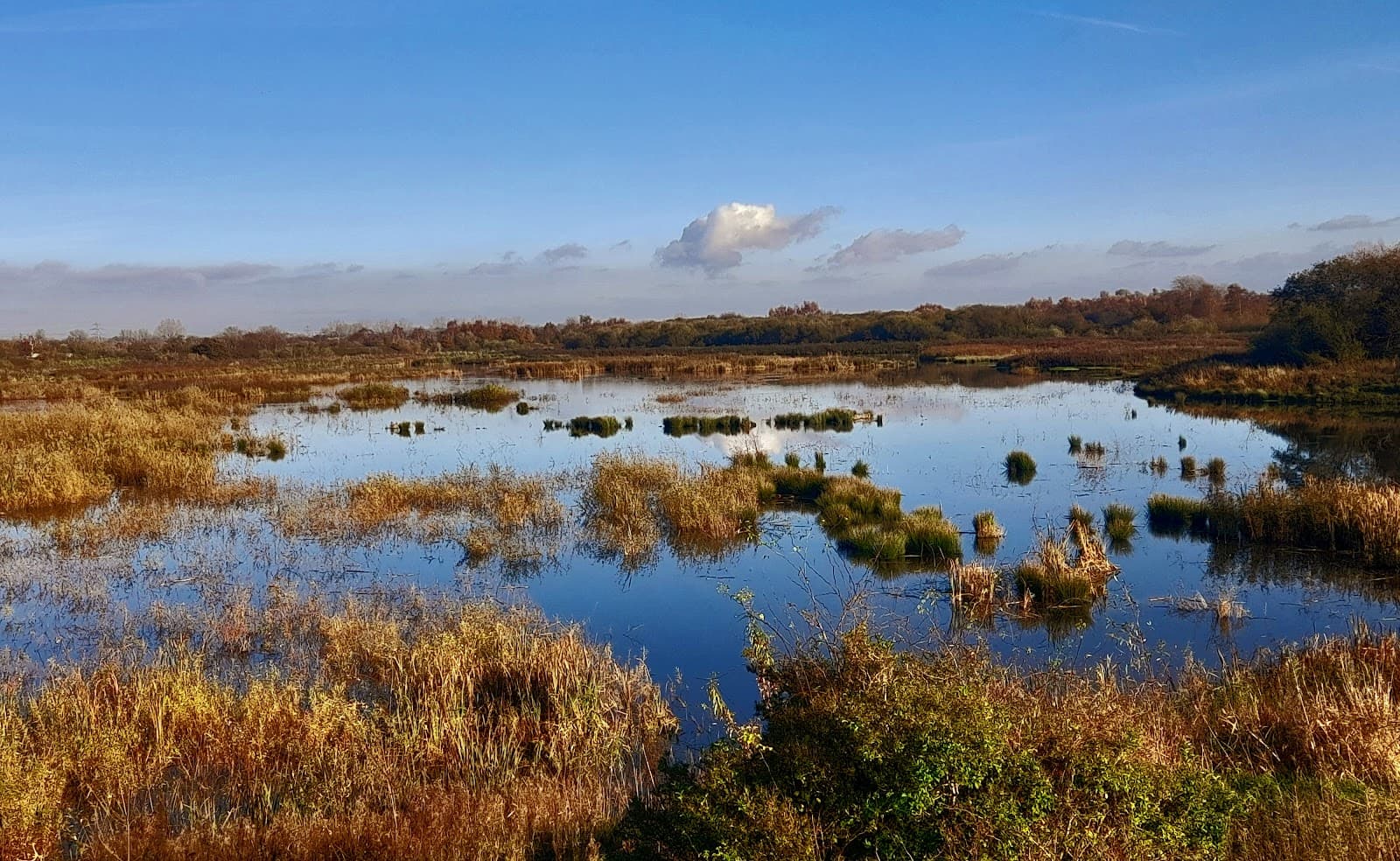Woolston Eyes Nature Reserve - Image 1