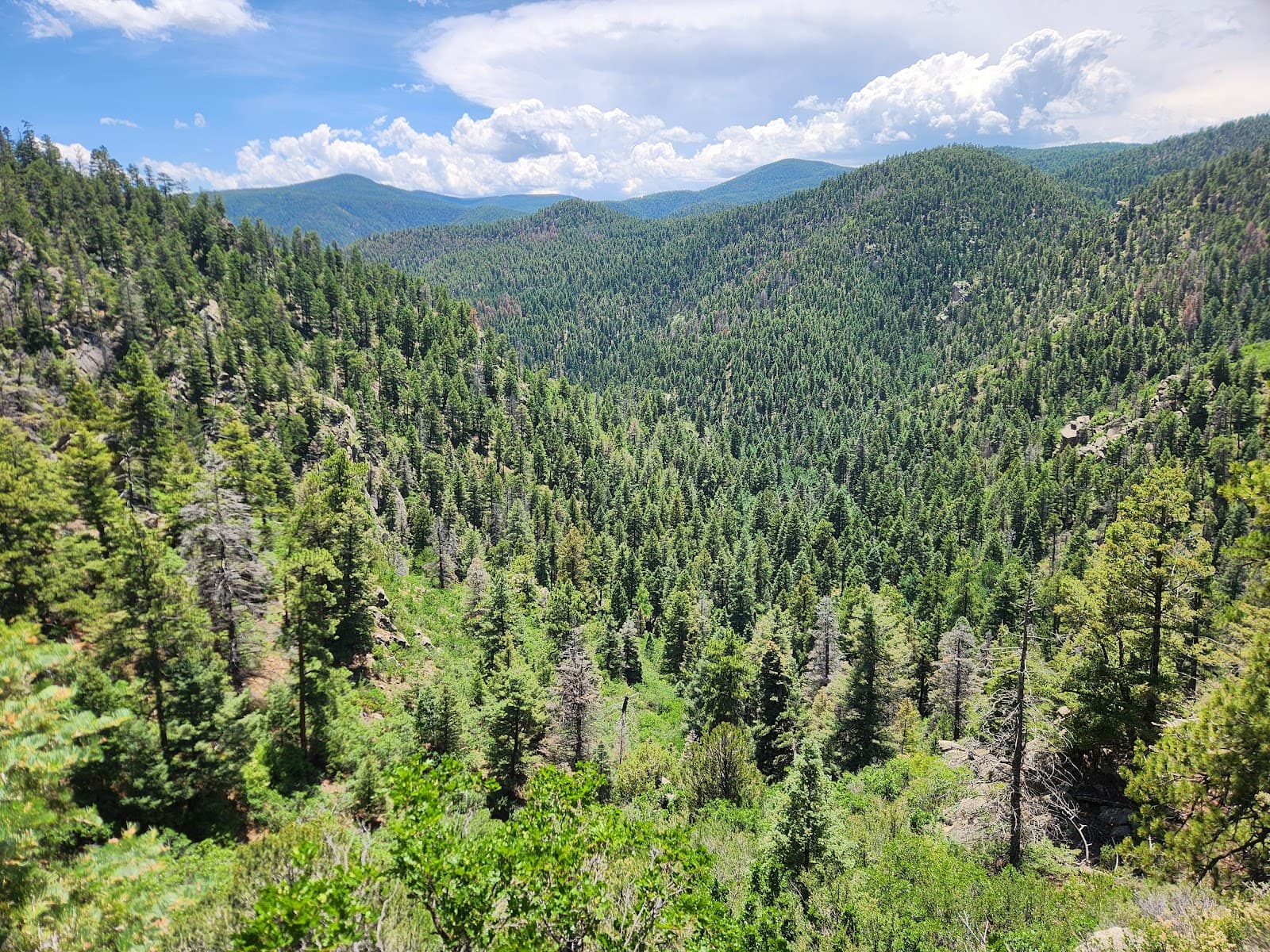 Newlin Creek Trail - Image 1