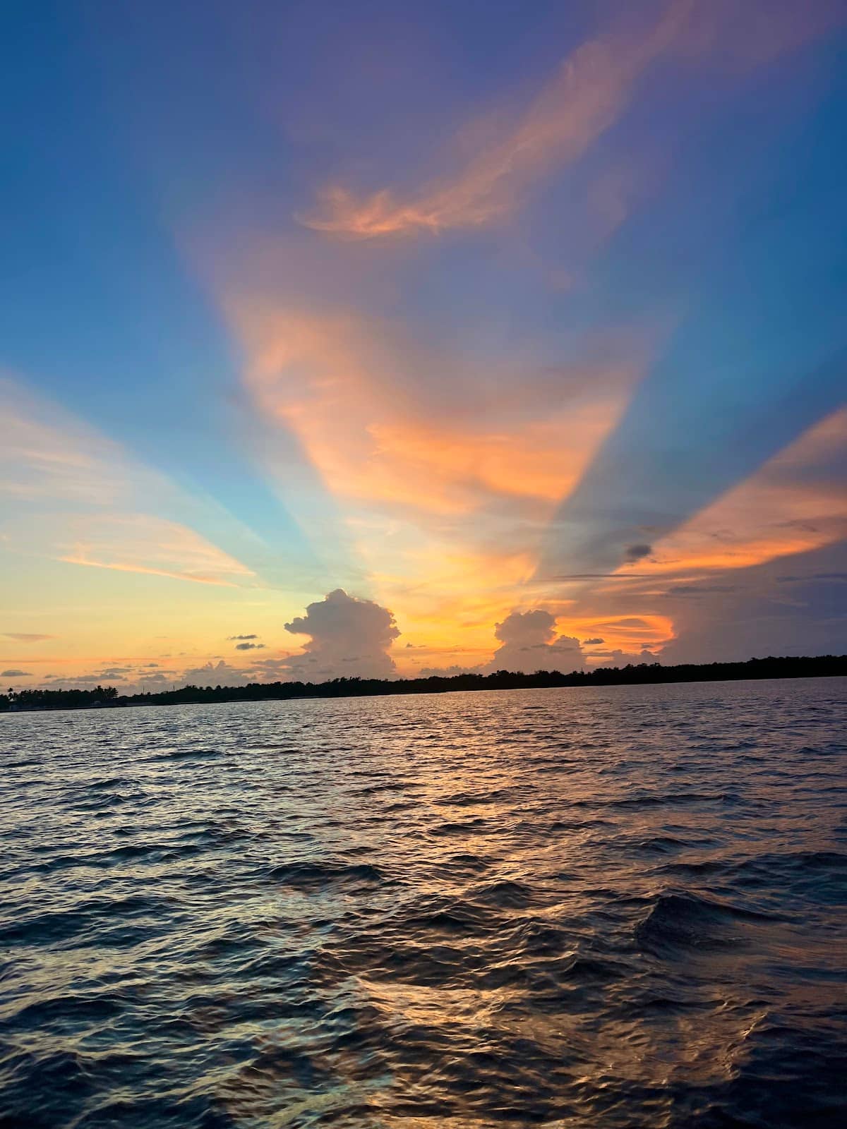 Hidden Culinary Gems