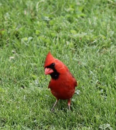 Historic Main Street