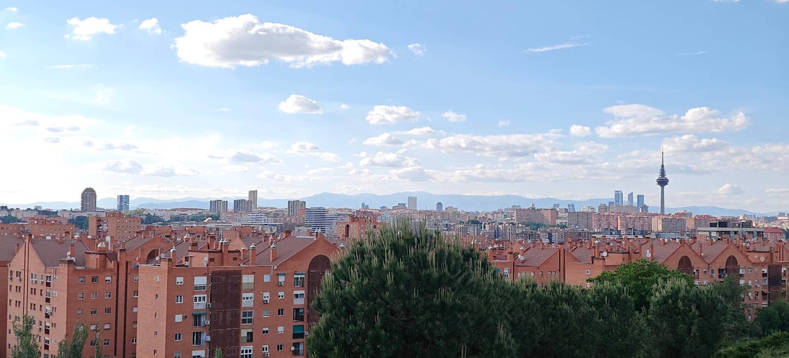 Outdoor Fitness Classes