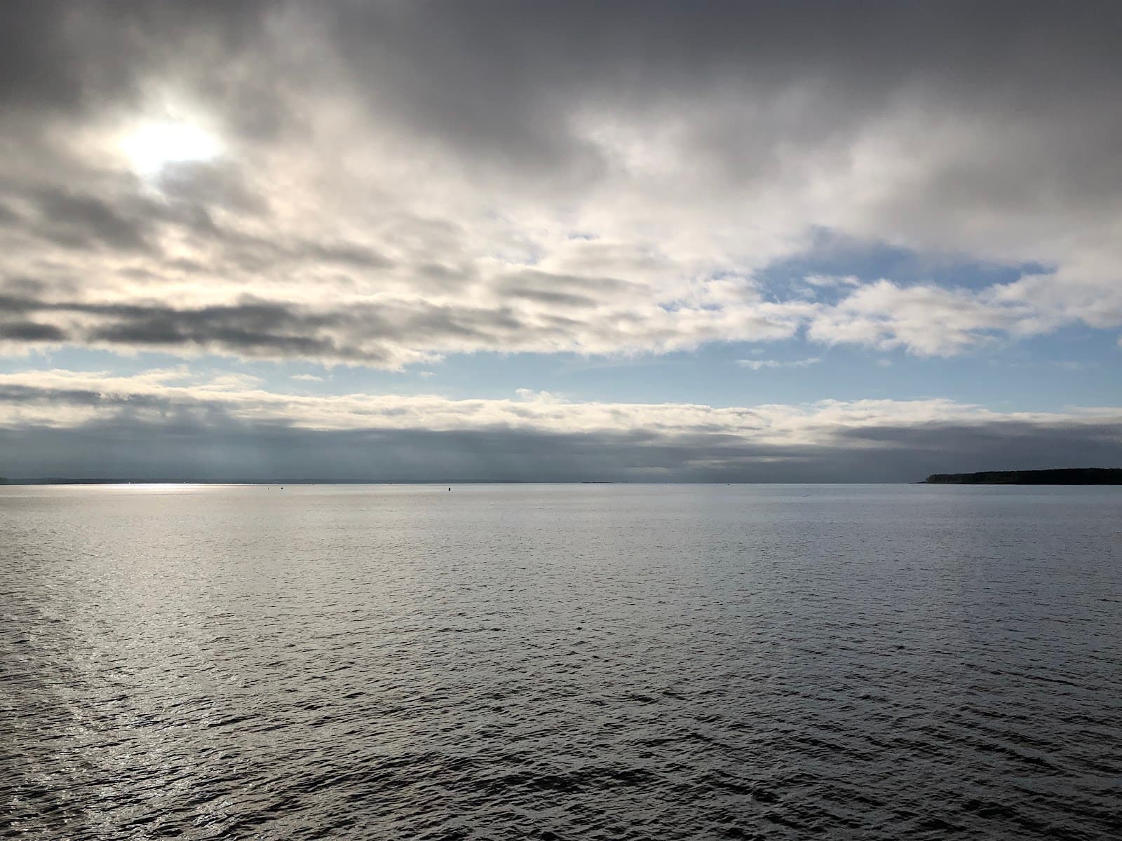 Darwin Nature Reserve - Image 1