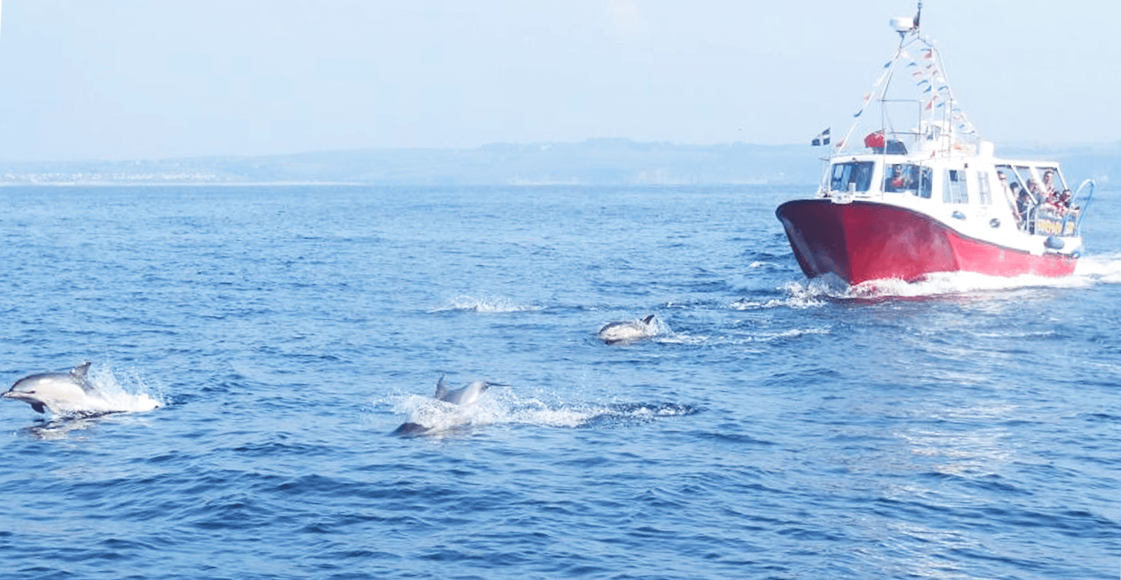 Mevagissey - Image 1