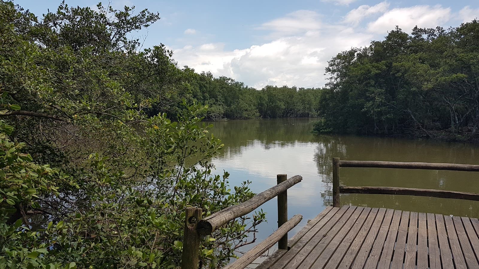 Itacorubi Mangrove Reserve - Image 1