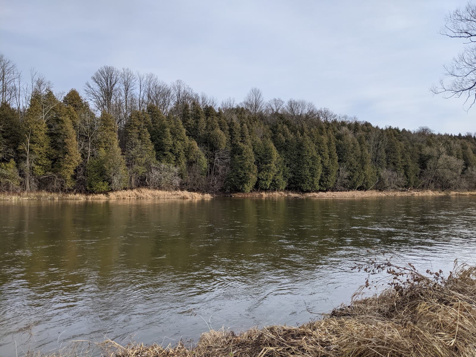 Kiwanis Park - Image 1