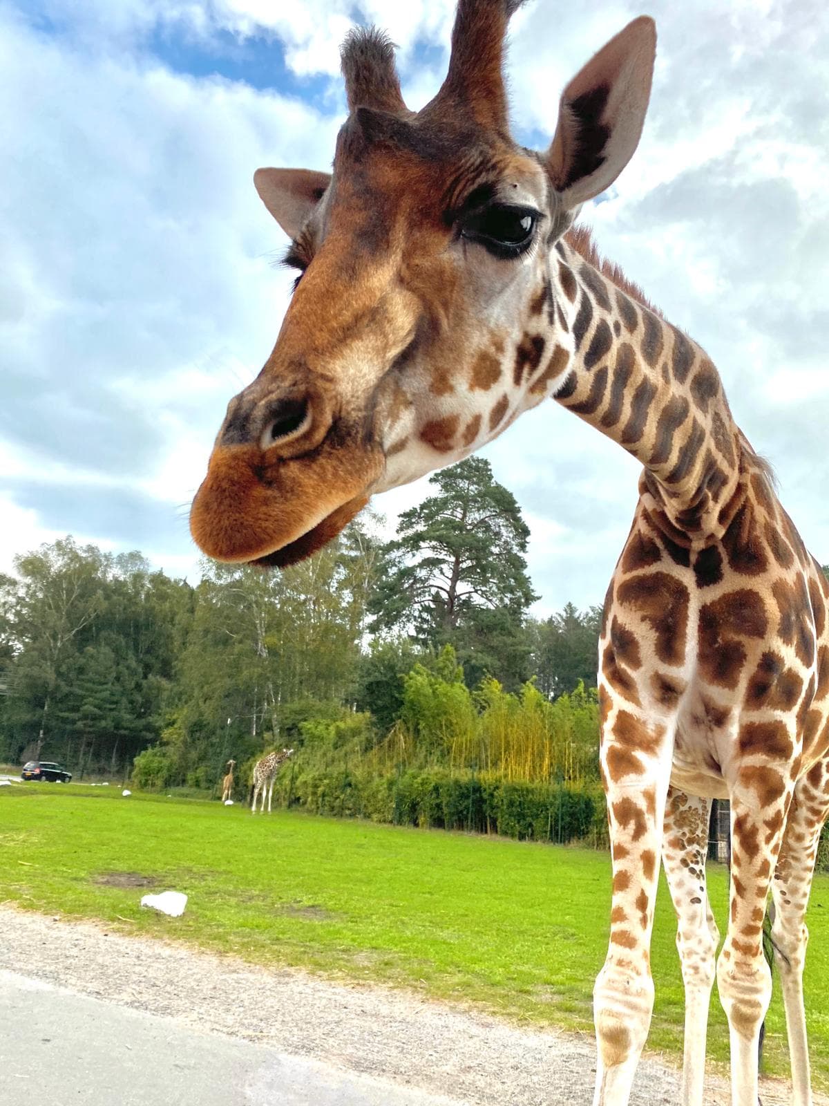 Serengeti Park Hodenhagen - Image 1