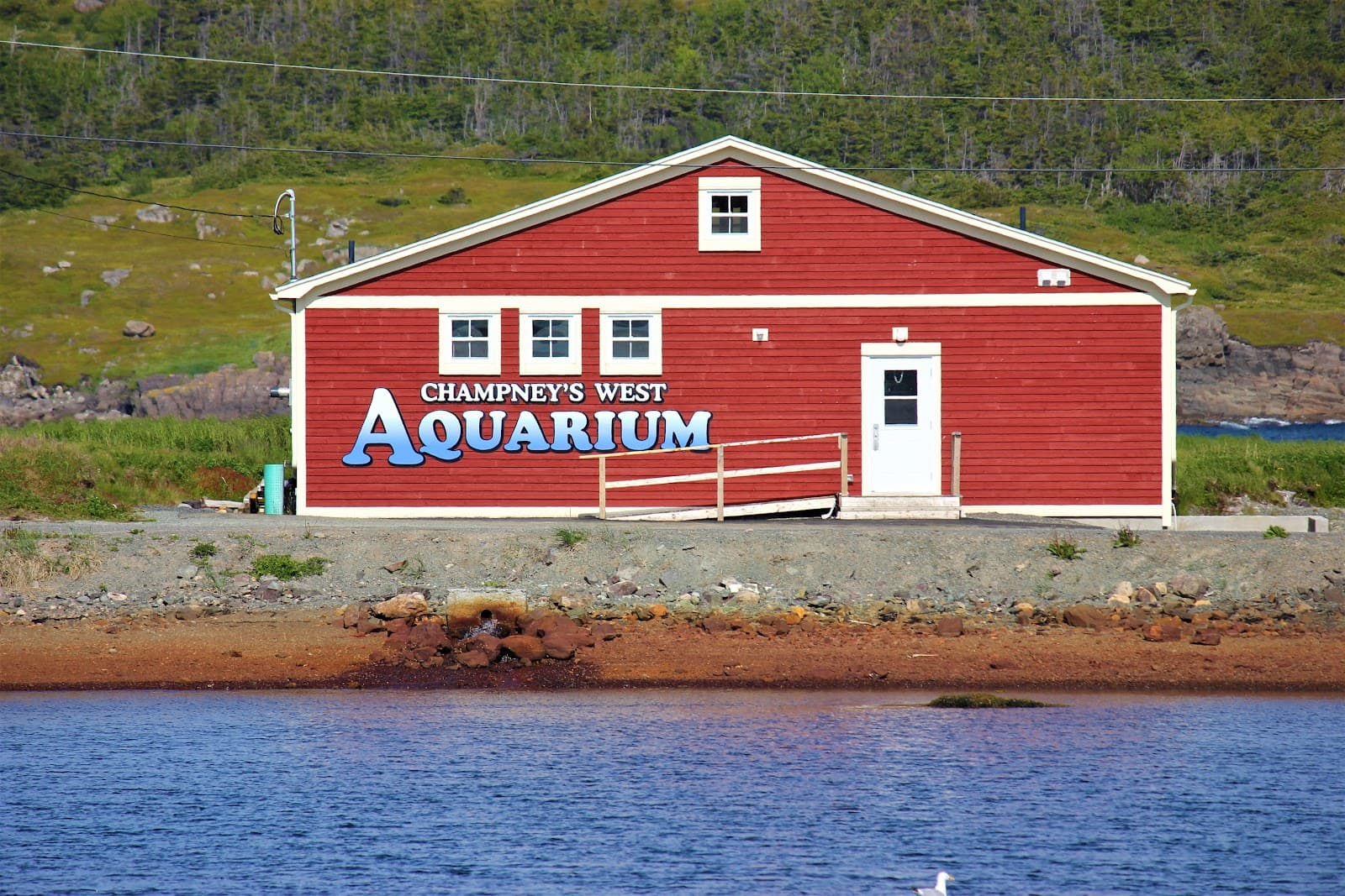 Champney's West Aquarium - Image 1