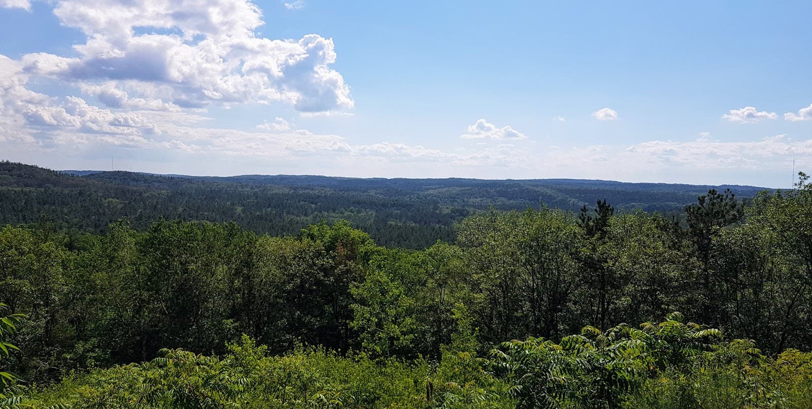 Northumberland County Forest - Image 1