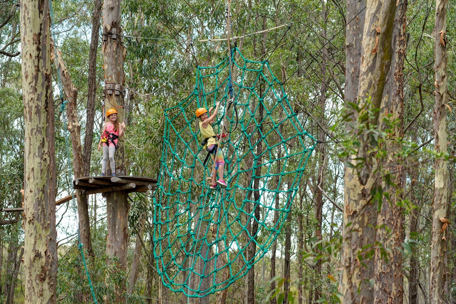 TreeTops Adventure Central Coast - Image 1