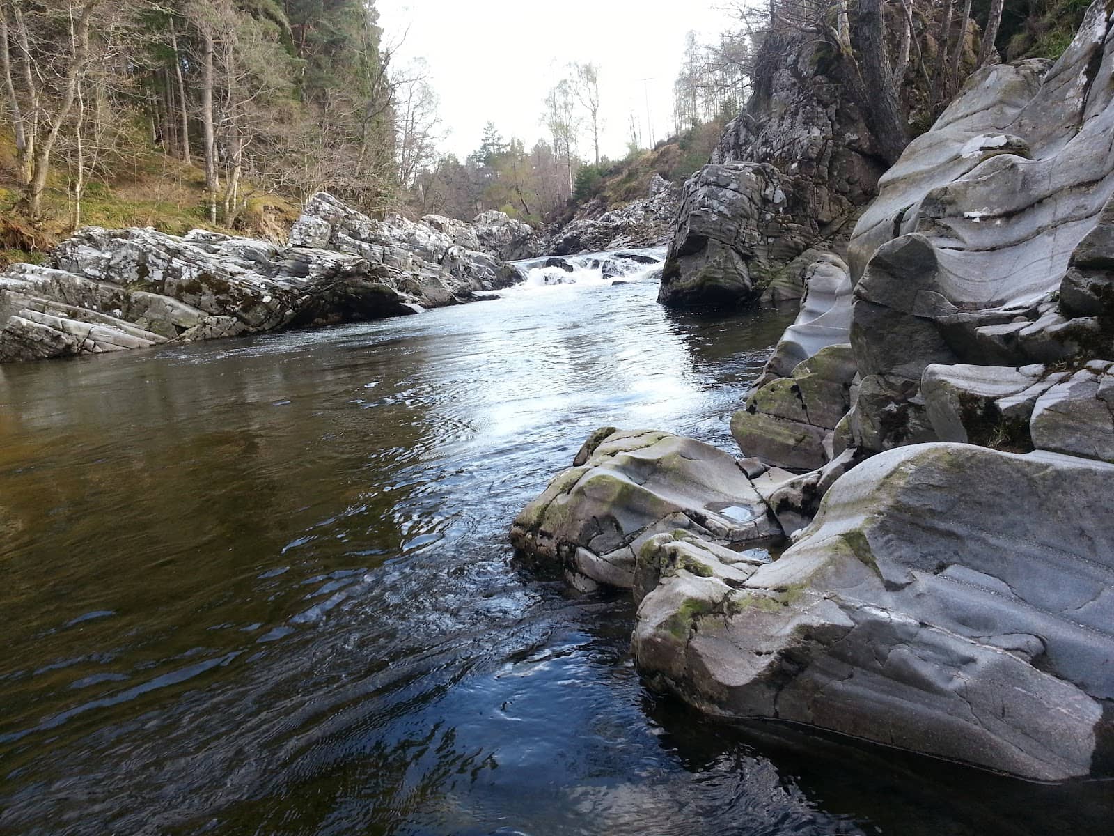 Rothiemurchus Estate