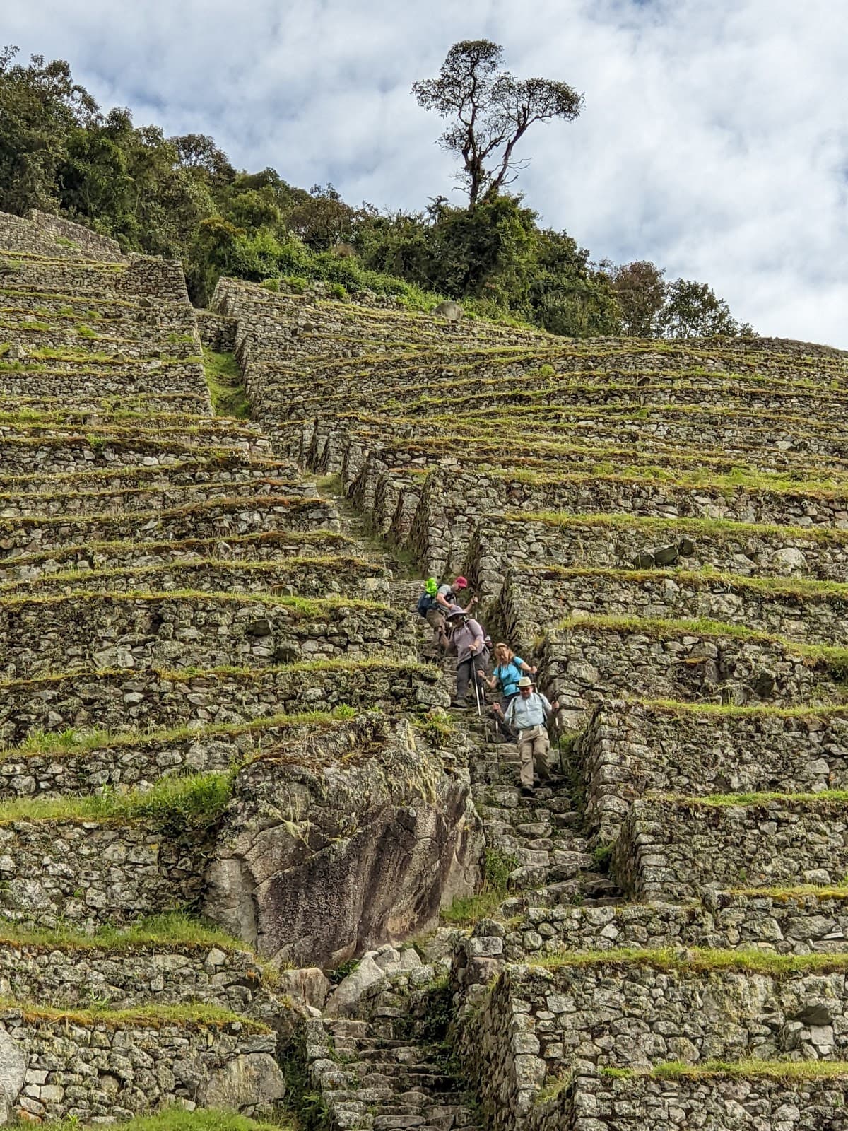 Wiñay Wayna - Image 1