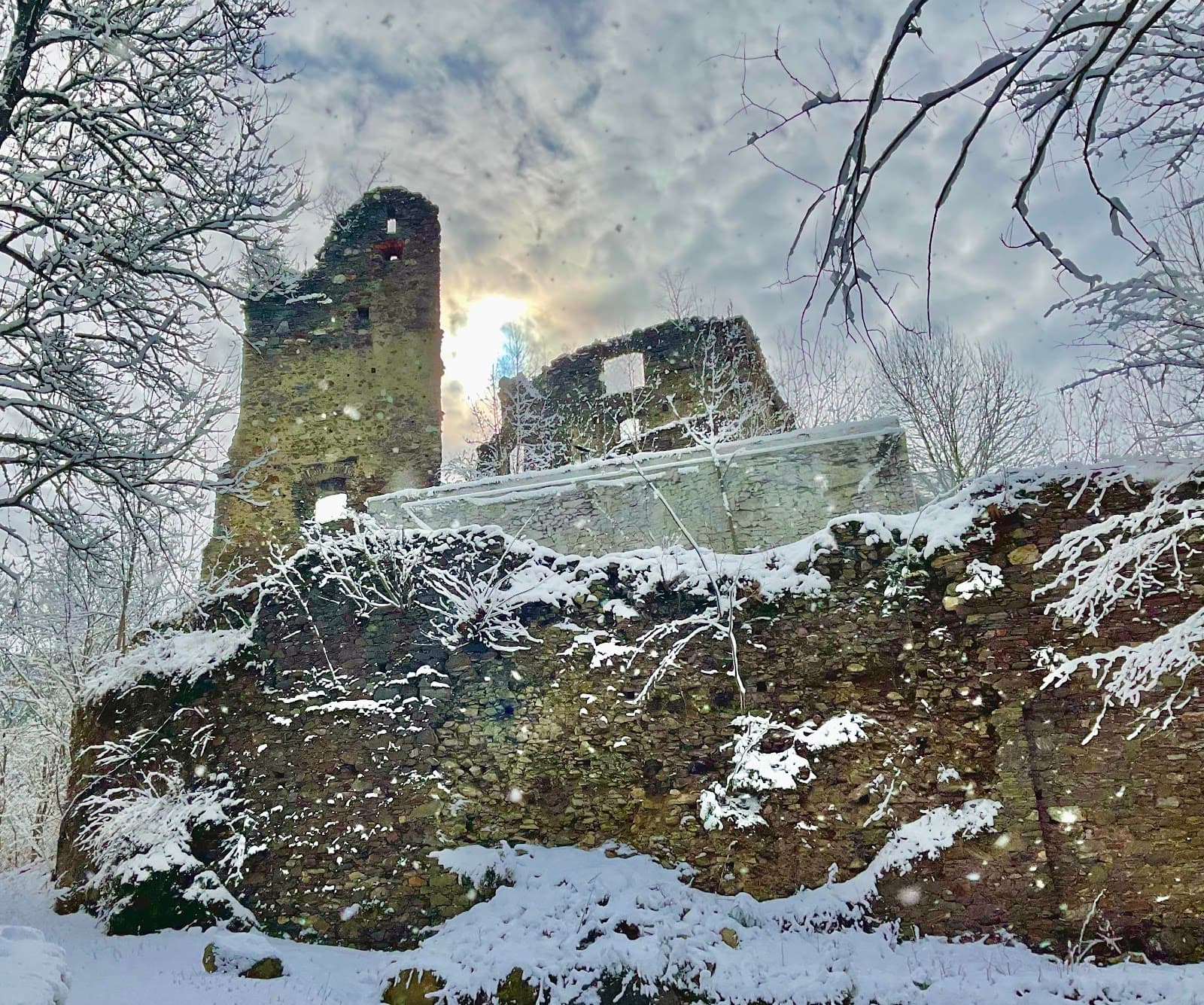 Burgruine Twimberg - Image 1