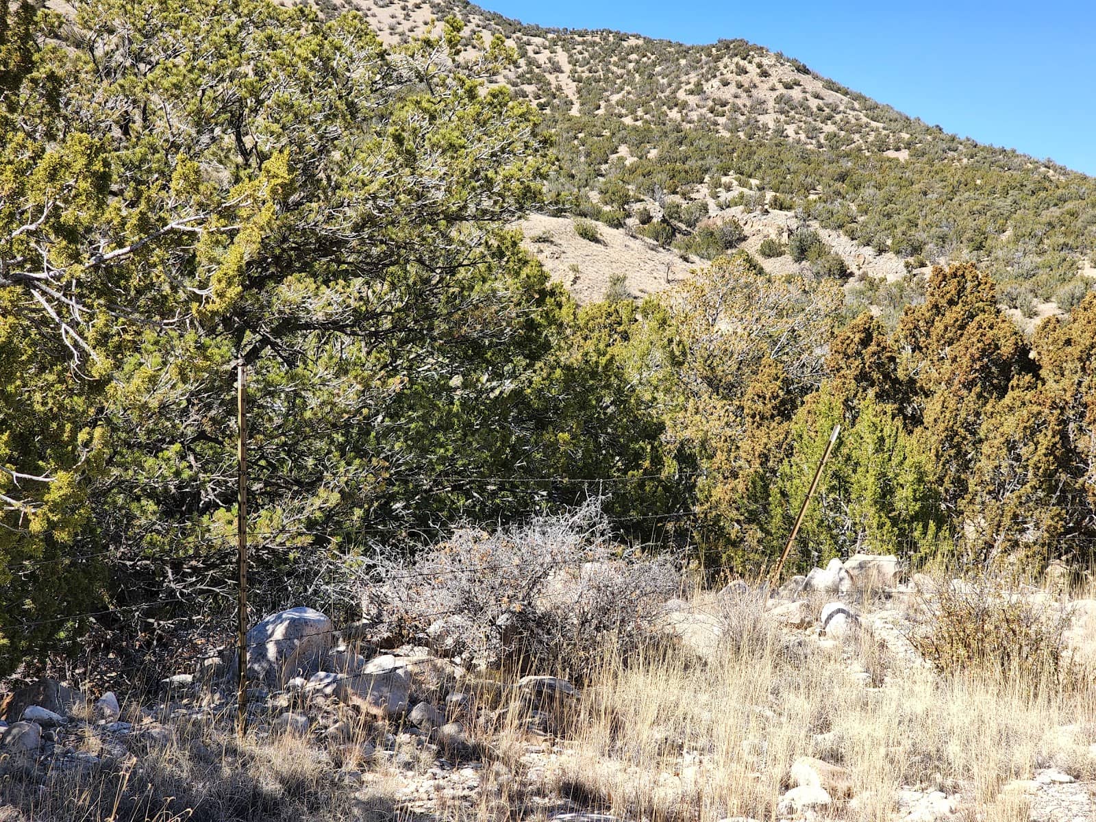 The General Store Ruins