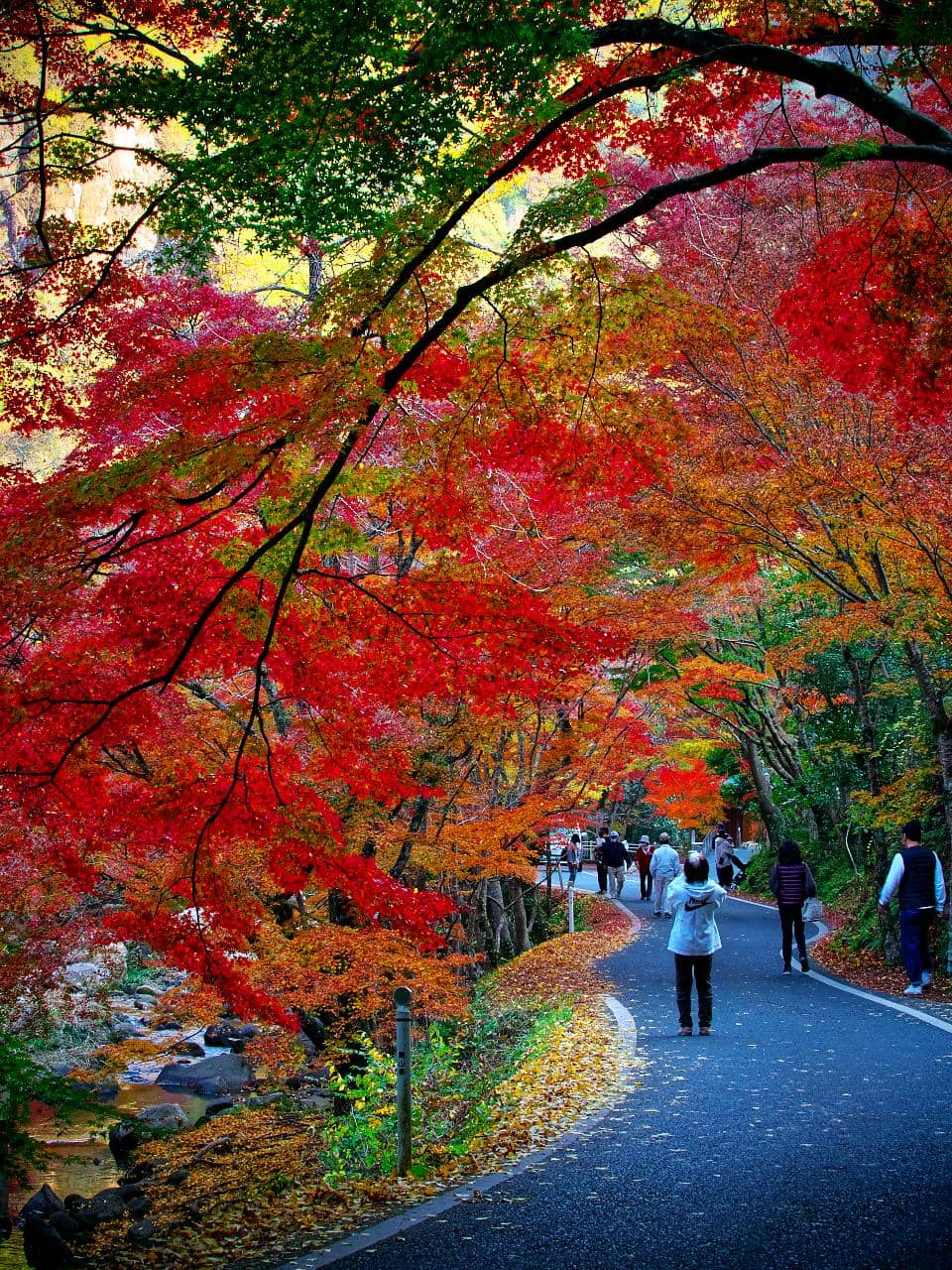 Observation Deck Views