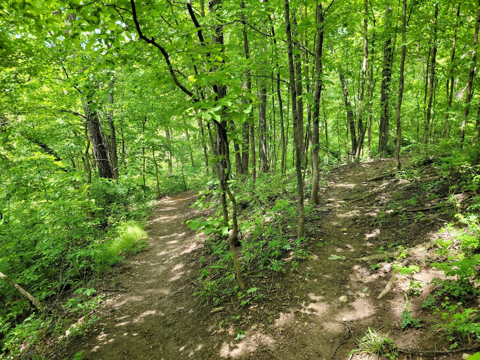 Evergreen Lake & Comlara Park - Image 1