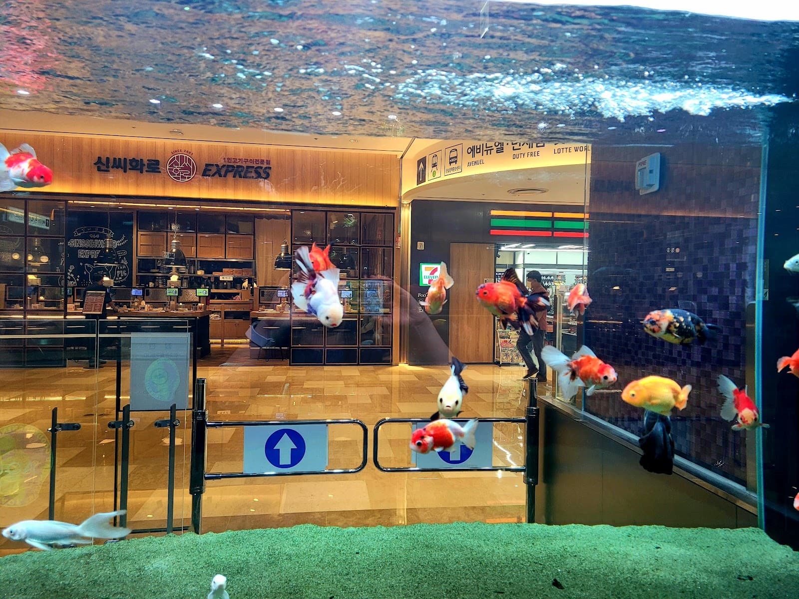 Various Aqua Cafes (e.g., Cafe de Aqua) - Image 1