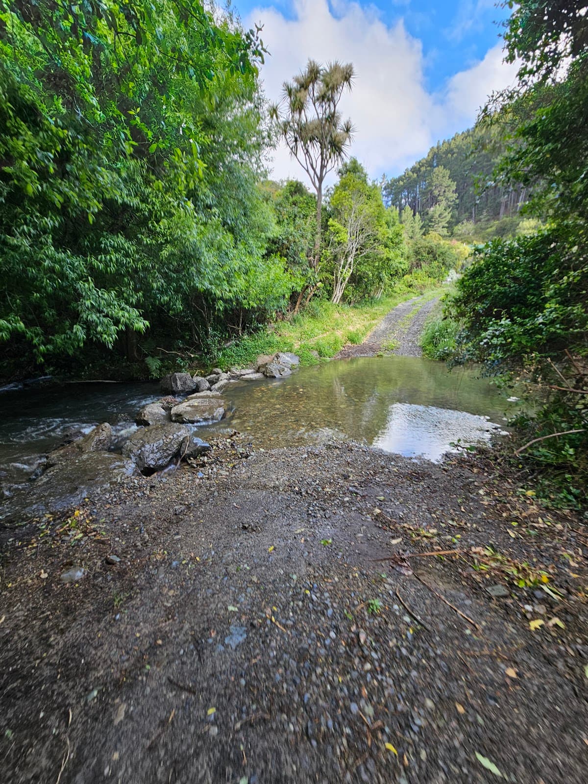 Essons Valley Walkway - Image 1